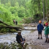 Gebietswanderung Rinnerberger Wasserfall